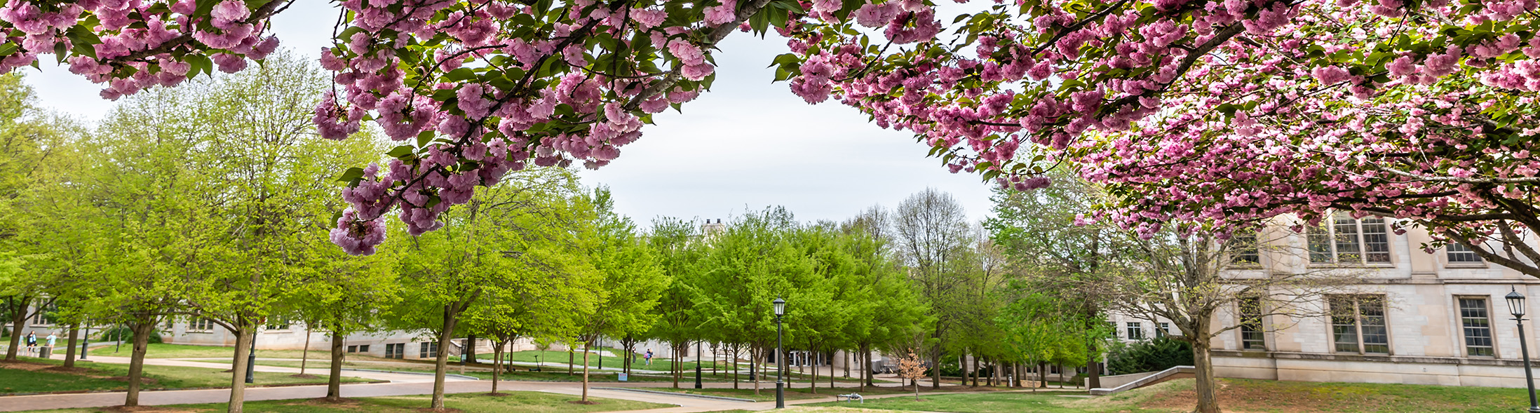 University of Arkansas Sign on Admissions Building.